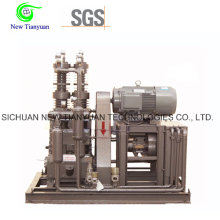 0.1-25MPa Pressure Nitrogen Gas N2 Compressor for Pressure Boosting
